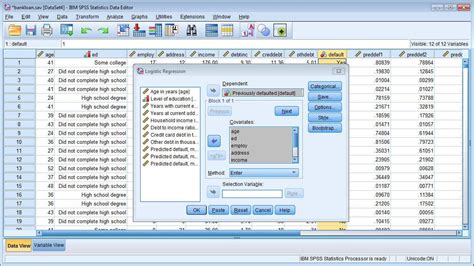 IBM SPSS Statistics 2025 Direct Download Link