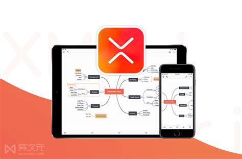 XMind Pro 10 2025 Full Setup
