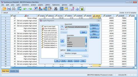 IBM SPSS Statistics 2025 Serial Number

